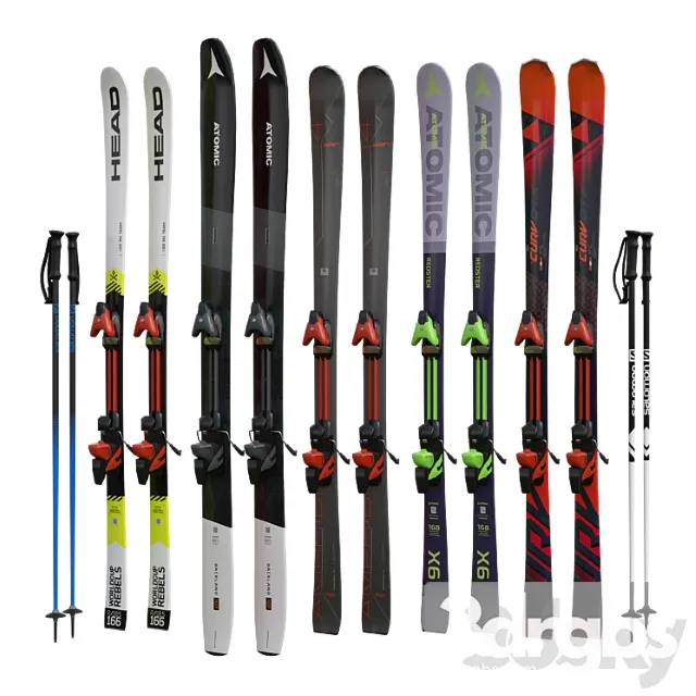 Alpine skiing and sticks 3dsmax Download