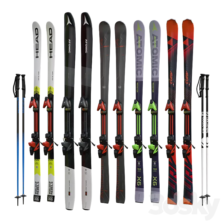 Alpine skiing and sticks 3DS Max