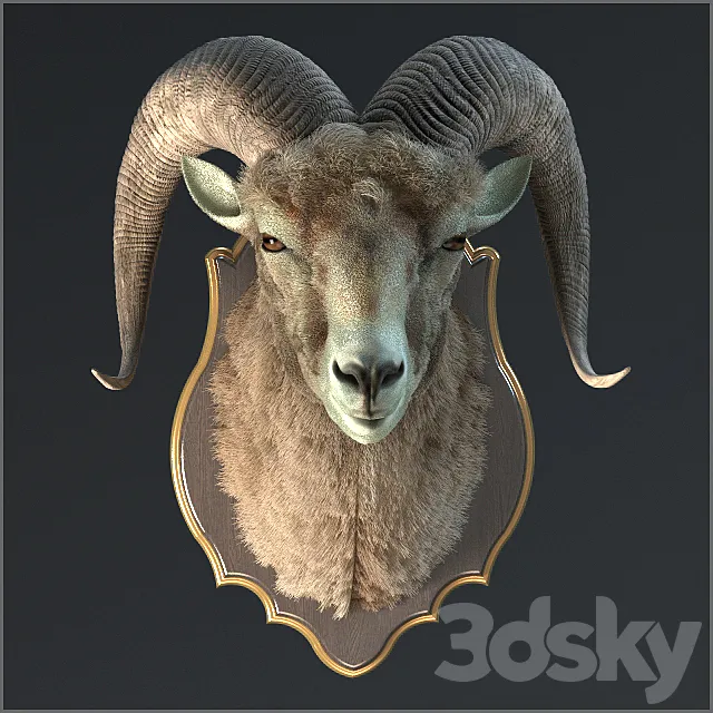 Altai argali 3ds Max