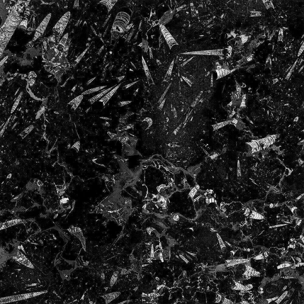 Alumoart – Interior panel Fossil Nero 3ds Max