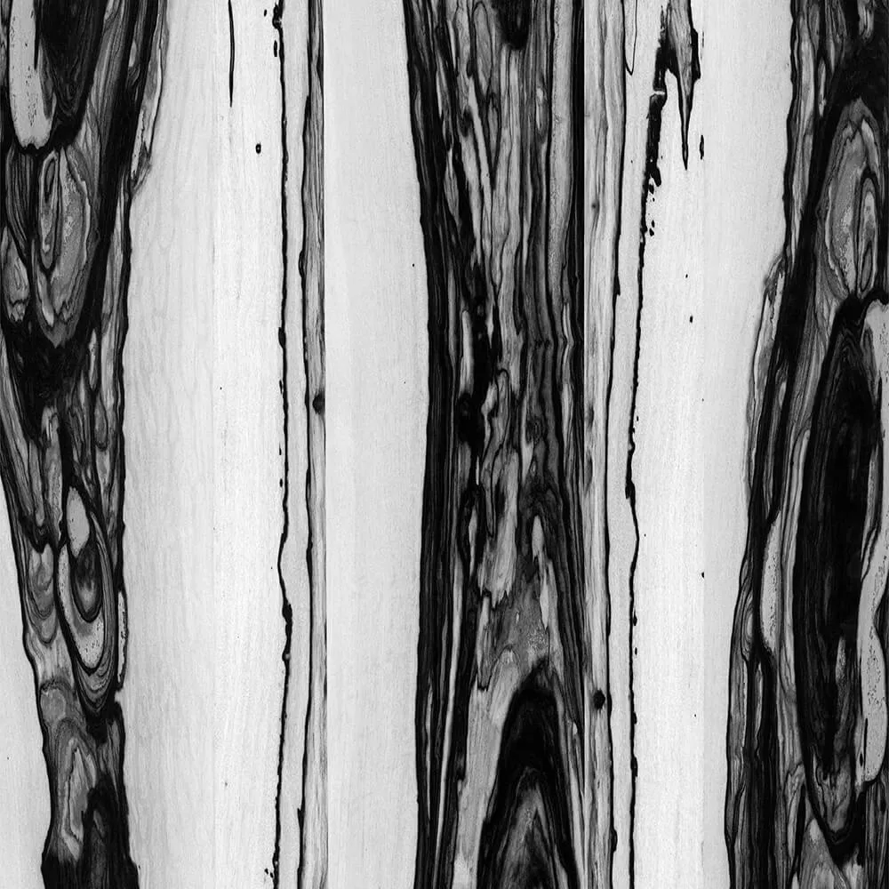 Alumoart – Interior panel Lunar Diospyros 3ds Max