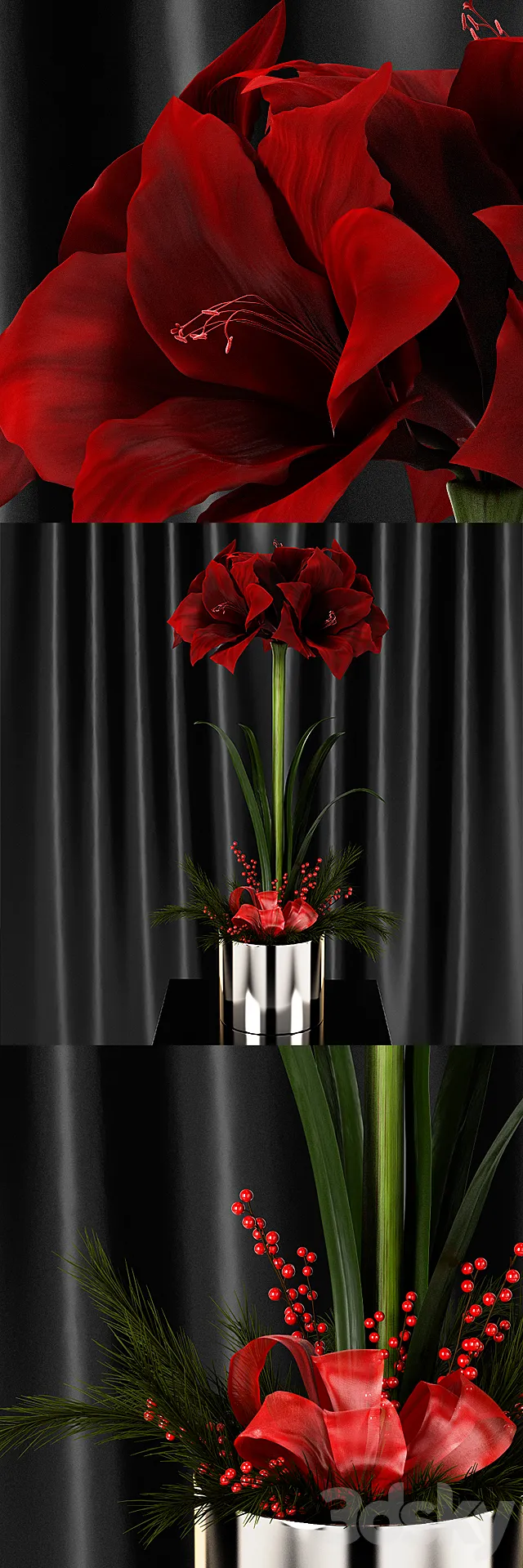 Amaryllis Christmas arrangement 3DS Max Model