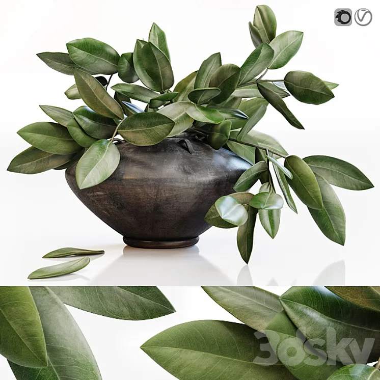 Amazing plant in black vase 3DS Max