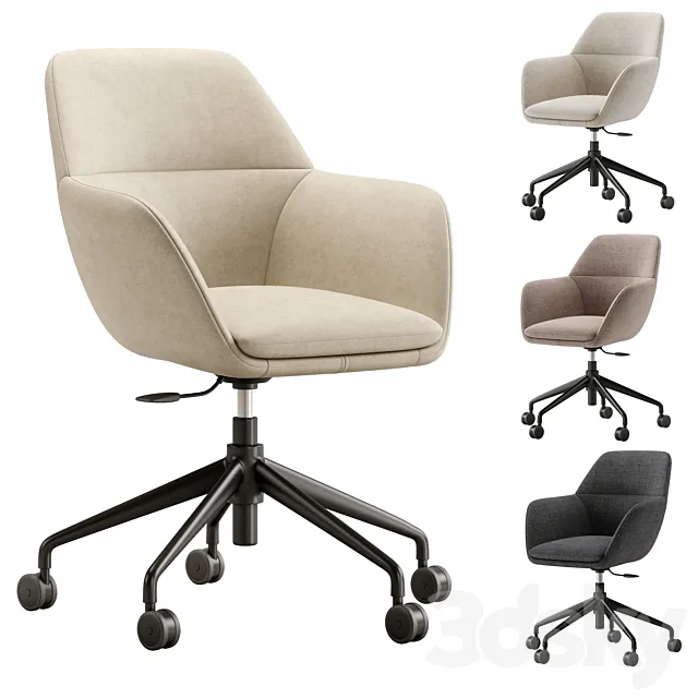 AMEDEE Office chair. Ligne Roset 3ds Max