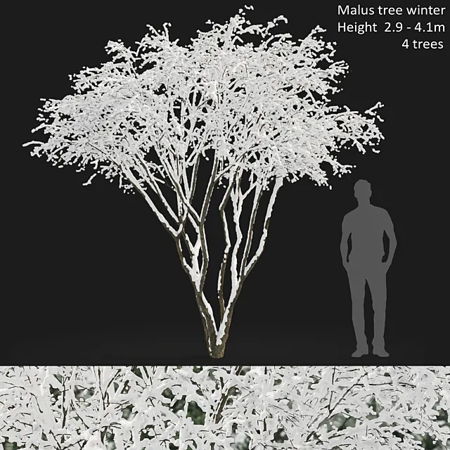 Amelanchier 3ds Max