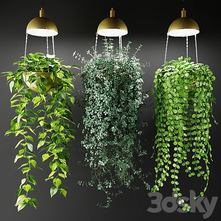 Ampel plants in a cache-pot with lamps 3DS Max