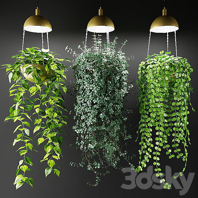 Ampel plants in a cache-pot with lamps 3DSMax File
