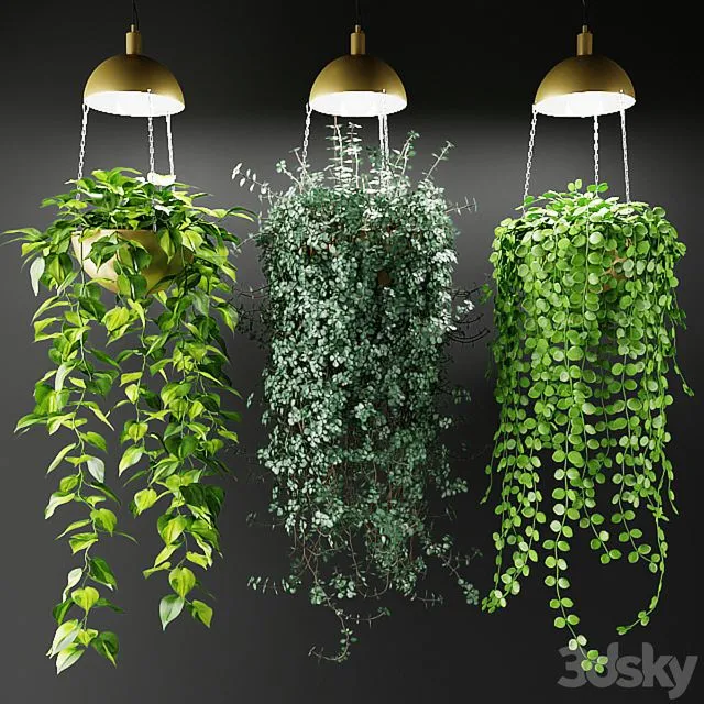 Ampel plants in a cache-pot with lamps 3dsMax Model