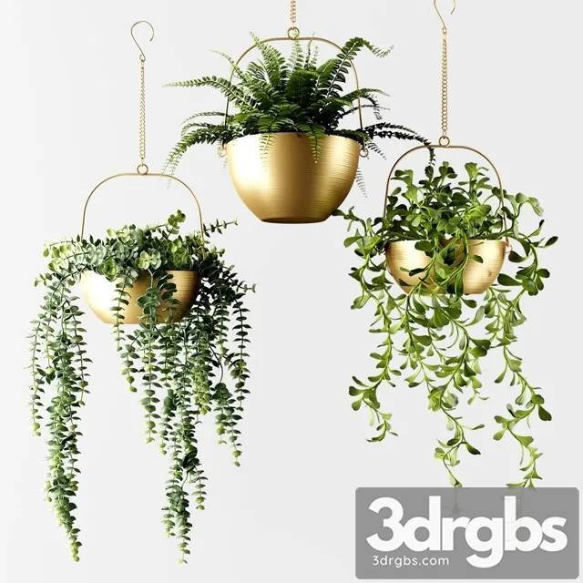 Ampel Plants in Bronze Flower Pots 3dsmax Download