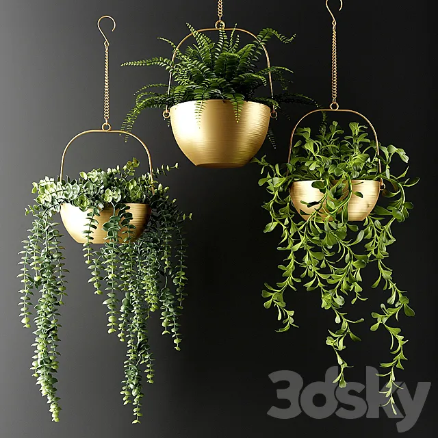 Ampel plants in bronze flower pots | Ampel plants in bronze flower pots 3DSMax File
