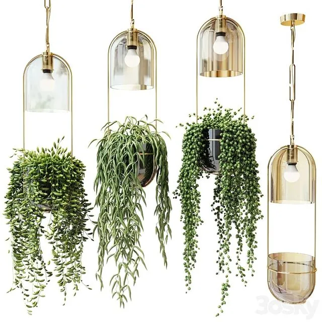 Ampel plants in hanging planters 3dsMax Model