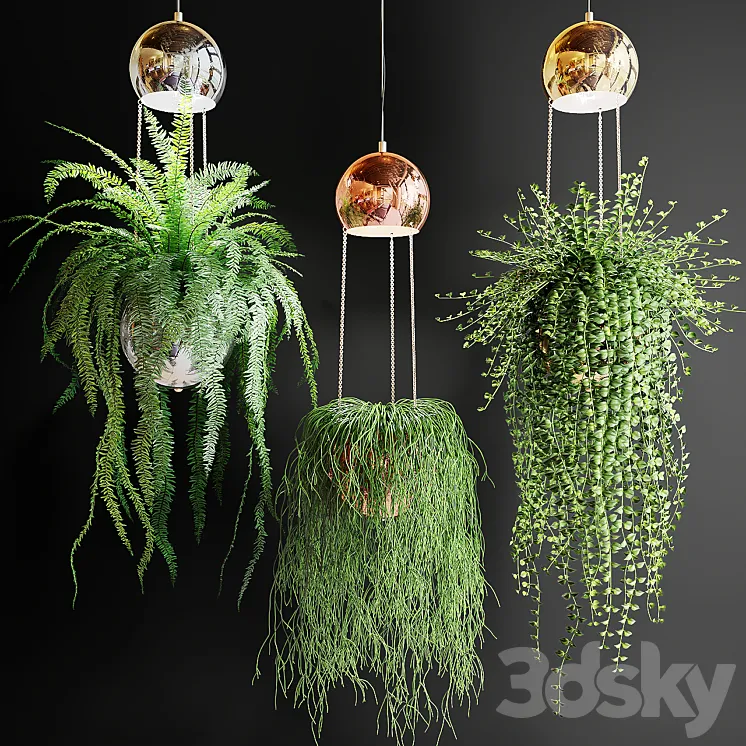 Ampel plants in pots with lamps 3DS Max
