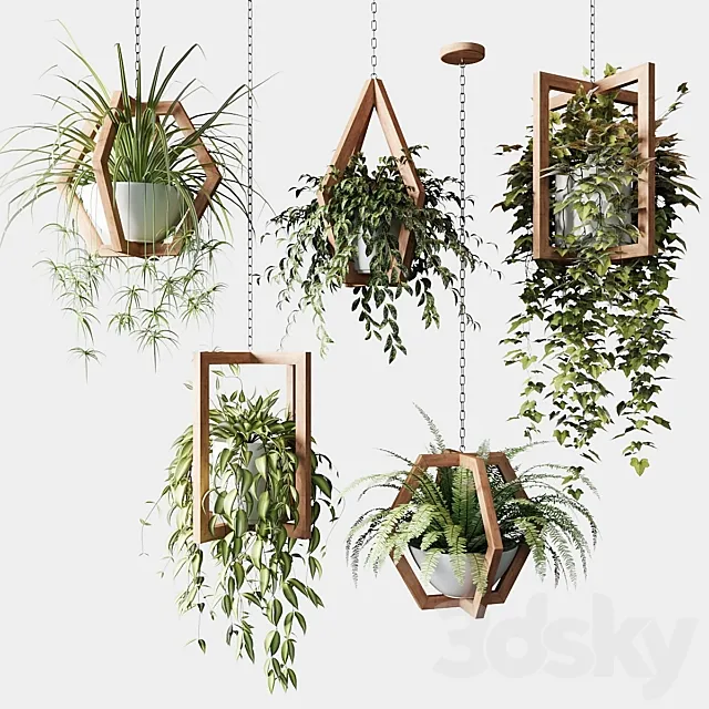 Ampelous plants in wooden figured hanging pots 3ds Max