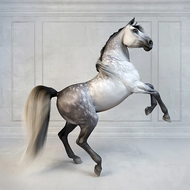 Andalusian Stallion. The Spanish horse. 3DSMax File