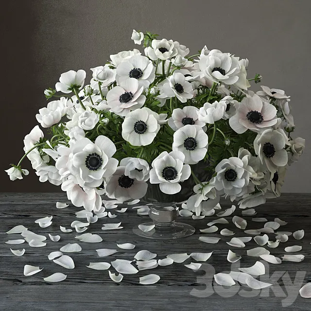 Anemones 3ds Max