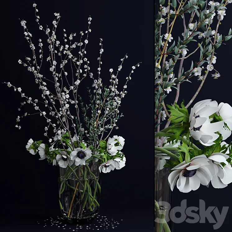 Anemones and branches 3DS Max
