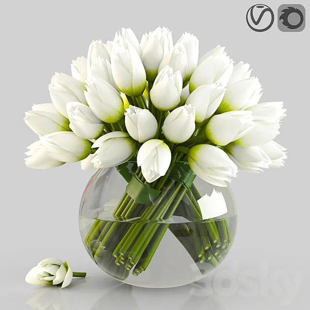 Angelique tulips 3DSMax File