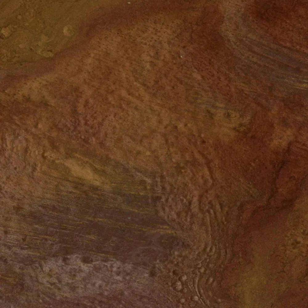 Apavisa  – Red Natural Aquarela 3ds Max
