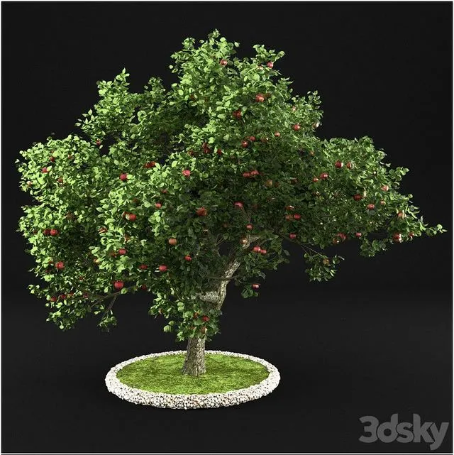 Apple Tree 002 3dsMax Model