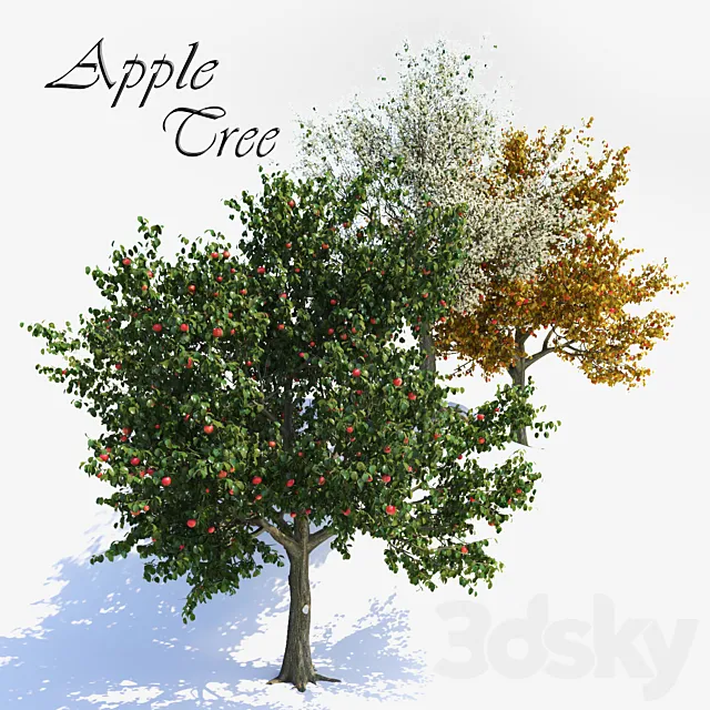 Apple Tree 1 3DS Max Model