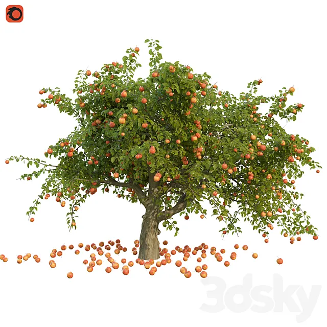 Apple tree 3DSMax File