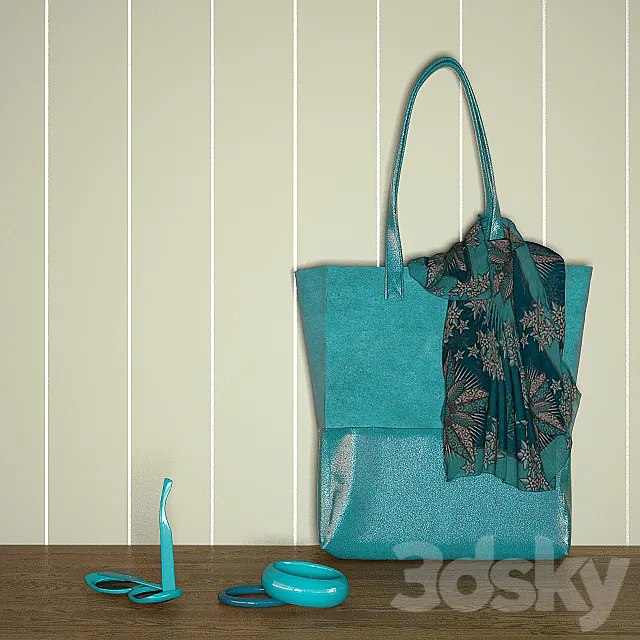 Aqua bag with accessories 3DS Max Model