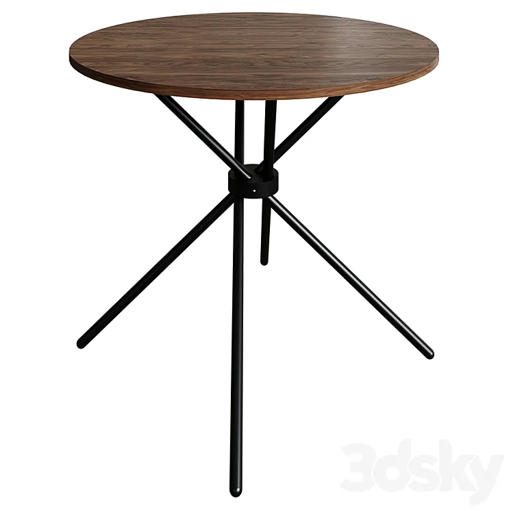 Aqua table 3DS Max Model