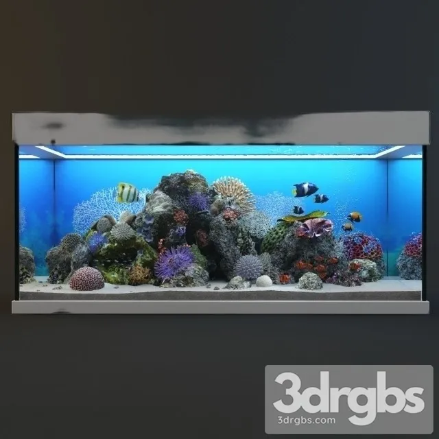 Aquarium 04 3dsmax Download