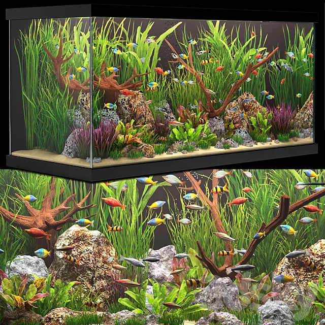 Aquarium 3ds Max