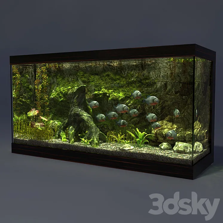 Aquarium 3DS Max