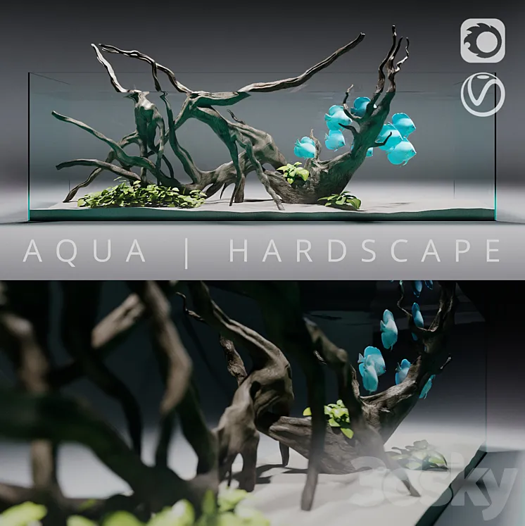 Aquarium | Hardscape 3DS Max