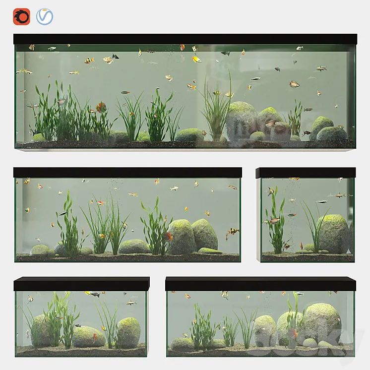 Aquarium set 3DS Max
