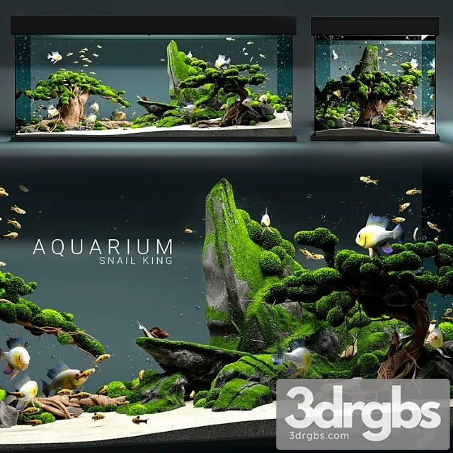 Aquarium Snail King 3dsmax Download