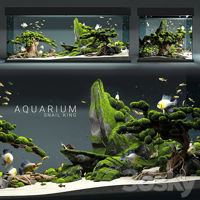 Aquarium snail king 3DSMax File
