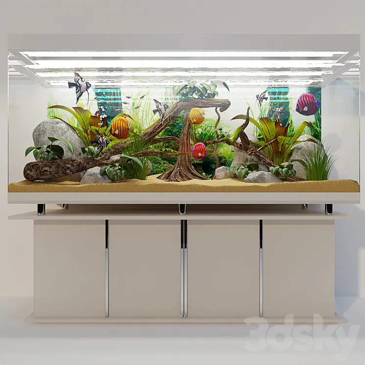 “Aquarium “”Tropiki””” 3DS Max