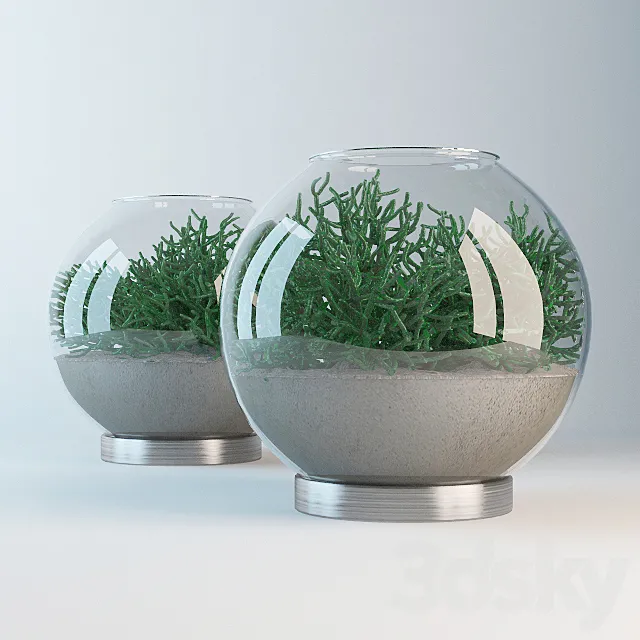 Aquarium with hatioroj and sand. 3dsMax Model