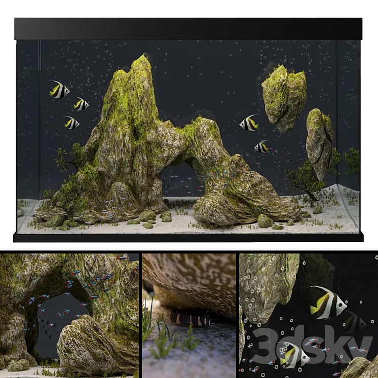 Aquarium with rocks and moss 3DS Max