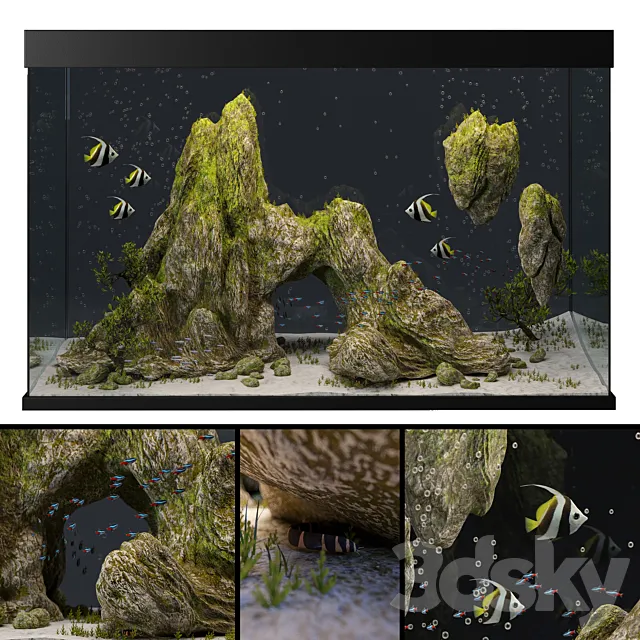 Aquarium with rocks and moss 3DSMax File