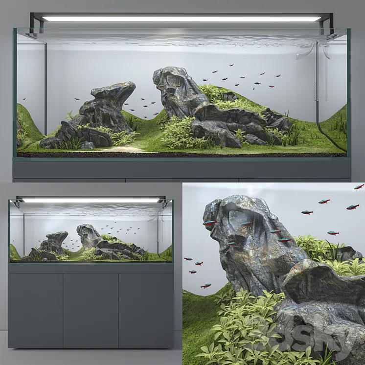 Aquascape aquarium 3DS Max