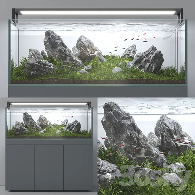 Aquascape aquarium Iwagumi 3DS Max Model