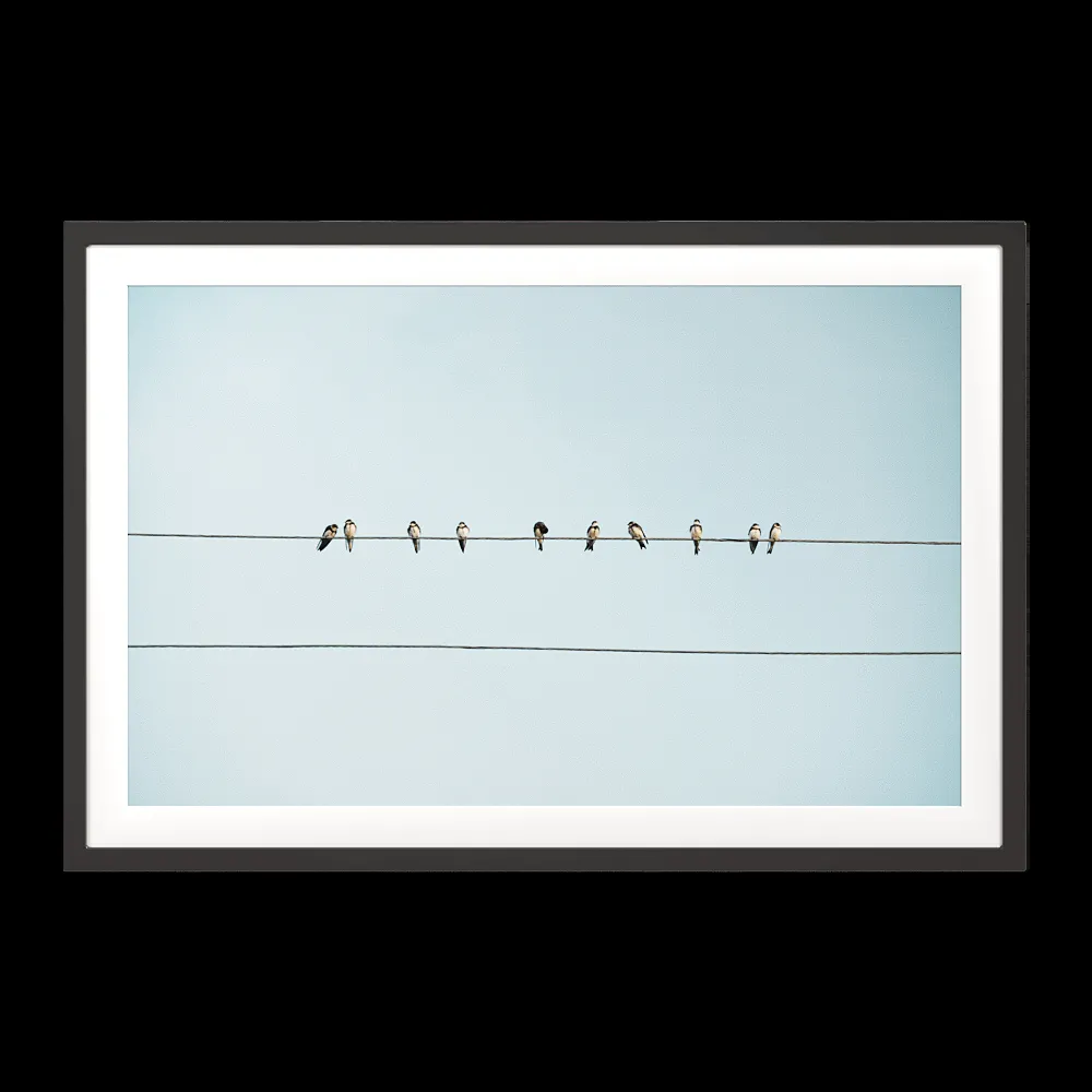 ArArArt – Picture #01 Birds on Wires in Rural Armenia 3ds Max