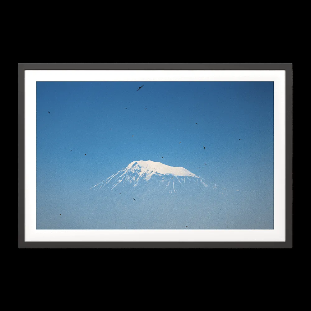 ArArArt – Picture #013 Great Ararat & Swifts 3ds Max