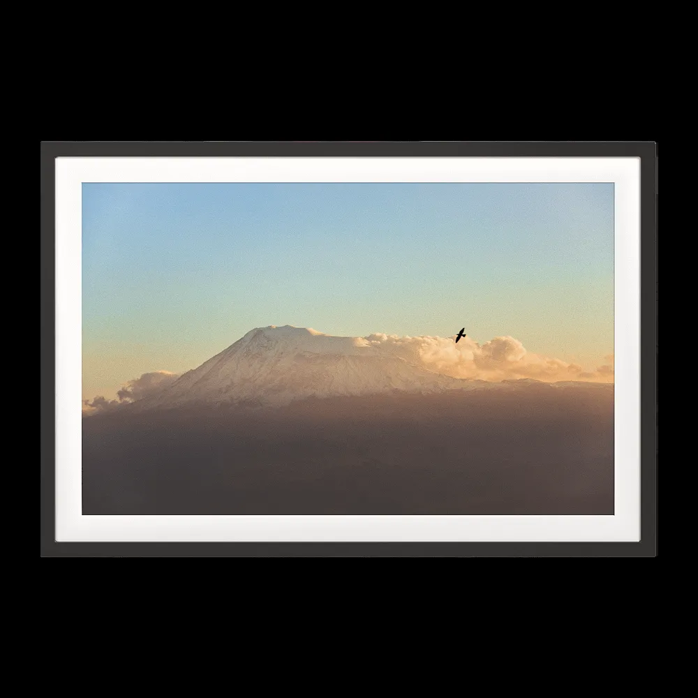 ArArArt – Picture #015 Great Ararat & Birds 3ds Max