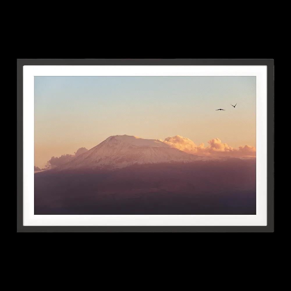 ArArArt – Picture #017 Great Ararat & Birds 3ds Max
