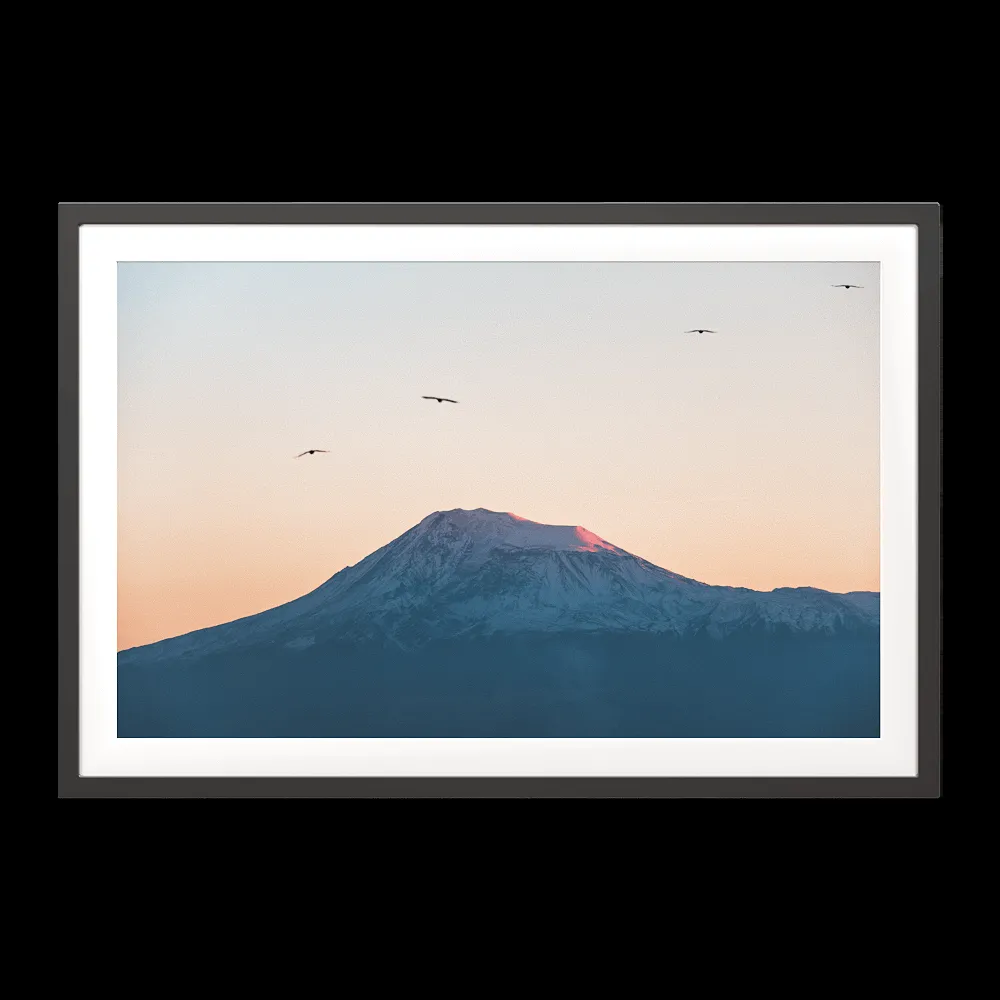 ArArArt – Picture #02 Great Ararat & Birds 3ds Max