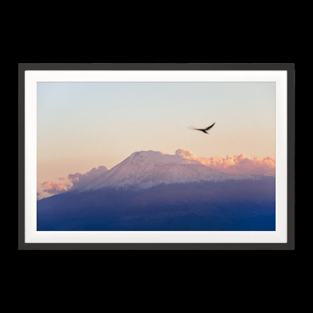 ArArArt – Picture #09 Great Ararat & Birds 3ds Max