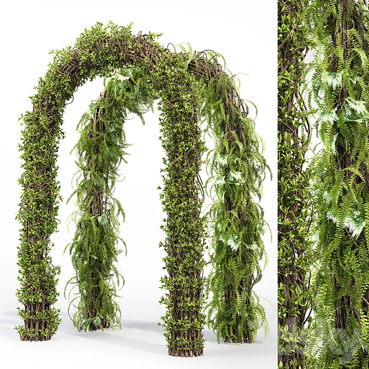 Arch hedge 3DS Max