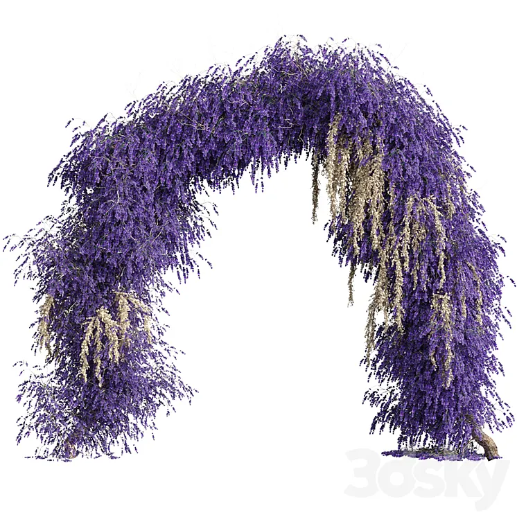 Arch of lavender flowers 3DS Max Model