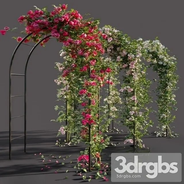 Arch Roses 3dsmax Download