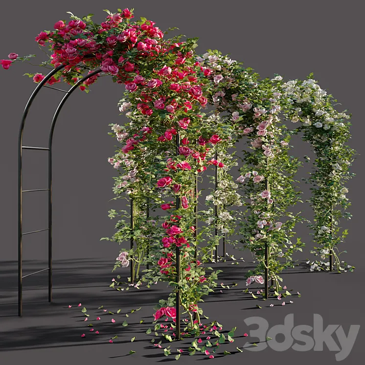 Arch with roses 3DS Max